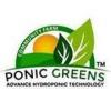 Photo for Hydroponics In India ponicgreens Hydroponic In India