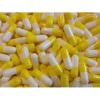 Photo for Pharmaceutical Grade Gelatin Market Insights, Growth Factors and Overview 2018-2025