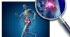 Photo for Clinical Trial Imaging Market Rising Trends, Technology Progress and Future Scope 2018-2025