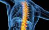 Photo for Vertebral Compression Fracture Devices Market Growth, Trends, and Forecast 2018–2026