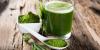 Photo for Chlorella Ingredients Market Till 2025 Major Key Players are - AlgaeBio, Aurora Health Care, Cellana, Inc., Far East Bio-Tec Co., Ltd., Fuqing King Dnarmsa Spirulina Co., Ltd.