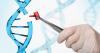 Photo for CRISPR and CAS Gene Market - Size, Share, Outlook, and Analysis, 2018-2026