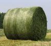 Photo for Global Bale Net Wrap Market Growth Opportunities, Industry Analysis, Geographic Segmentation and Competitive Landscape Report to 2024