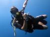 Photo for Sulawesi Dive
