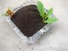 Photo for Humic Acid Fertilizer Market Study By Type, Application & Top Key Players - AgroCare Canada, Inc., Ahmad Saeed & Company, Arctech, Inc., Beijing Goldenway Biology Tech. Co. Ltd.