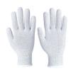 Photo for Global Anti-Static Plastic Glove Market Growth Opportunities, Industry Analysis, Geographic Segmentation and Competitive Landscape Report to 2024