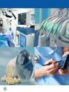 Photo for Global Ureteral Catheters Market 2019 Professional Survey Report Trends, Growth Rate, Statistics, Segment and Forecasts to 2025