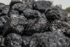Photo for Coal Market Report By The Business Research Company