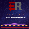 Photo for Global BOPET Laminating Film Market Key Country Analysis and Regional Forecast 2014-2024