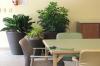 Photo for Brighten your Workspace with Indoor Office Plants