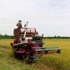 Photo for HOS Hay Sales, Inc.