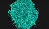 Photo for Solid Tumors Treatment Market Size Historical Growth Analysis To 2026