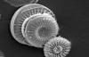 Photo for Diatomite Market Key Players And Production Information Analysis With Forecast 2028