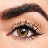 Photo for Global Mascara Market Growth Opportunities, Industry Analysis, Geographic Segmentation and Competitive Landscape Report to 2024