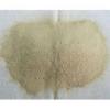Photo for Global Nitrogen Fertilizer Market Growth Opportunities, Industry Analysis, Geographic Segmentation and Competitive Landscape Report to 2024
