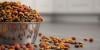 Photo for Global Pet Food Market to Cross US$ 122 Billion by 2023
