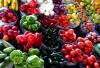 Photo for Natural Antioxidants Market – Size, Share, Outlook, and Opportunity Analysis, 2018–2026