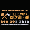 Photo for Tree Removal Rockville MD