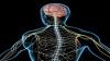 Photo for Batten Disease Treatment Market: Key Industry Trends, Growth Rate & With Forecast To 2026