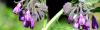 Photo for Allantoin Market Outlook Trends, Perceiving Growth Factors, Opportunities Forecast Flourishing Globally by 2025