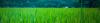 Photo for Manufacturer & Supplier of AgroChemicals Products