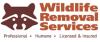 Photo for Wildlife Removal Services