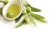 Photo for Olive Leaf Extract Market Study By Form, End-User & Top Key Players - Barleans, Comvita Limited, Evergreen Life Products Srl