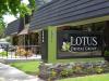 Photo for Lotus Dental Group - Campbell CA