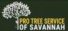 Photo for Pro Tree Service of Savannah