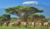 Photo for Kenya Safari Holidays