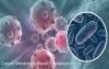 Photo for Cancer Metabolism Based Therapeutics Market – Scope and Opportunities Analysis 2018 – 2026