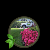 Photo for Dripping Springs Landscaping