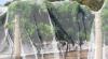 Photo for Bird Netting Depot & Landscaping
