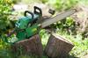 Photo for Pat Torres Landscaping and Tree Service