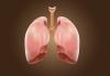 Photo for Lung Only Autopsy