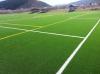 Photo for Global Sports Turf Equipment Market Study | Manufacturers Analysis, Market Size, Share, and Forecast 2019 to 2025