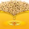 Photo for Global Hydroxylated Epoxidized Soybean Oil Market Growth Opportunities, Industry Analysis, Geographic Segmentation and Competitive Landscape Report to 2024