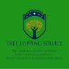 Photo for Tree Lopping Service Perth