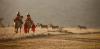 Photo for Safari Tour Operators