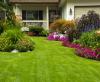 Photo for Artificial Grass for Schools in Bangalore