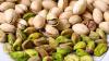 Photo for Pistachio Market Report Forecast, 2026