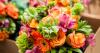 Photo for Consumer Floriculture Market – Size, Share, Outlook, and Opportunity Analysis, 2018 – 2026