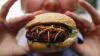Photo for Edible Insects Market Study By Types, Application & Top Key Players - Deli Bugs Ltd., Eat Grub Ltd., Entomo Farms Ltd., Entotech SAS, Enviro Flight, LLC, Exo Inc.