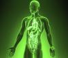 Photo for Global Medical Animation Market Predicted to Accelerate the Growth by 2018-2026