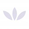 Photo for Alterna Cremation