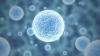 Photo for Biosimilars Market Entry Strategies, Countermeasures of Economic Impact and Marketing Channels to 2026