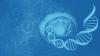 Photo for Single Cell Analysis Market Professional Survey Report Trends, Growth Rate, Segment And Forecasts To 2026