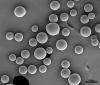 Photo for PLGA Market Study By Product, Application & Top Key Players - Corbion N.V., Evonik Industries AG, Jinan Daigang Biomaterial Co., Ltd., Mitsui Chemicals, Inc.