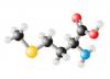 Photo for Methionine Market Report | Industry Size and Leading Key Players - Adisseo France SAS, Ajinomoto Inc., Anaspec Inc., Evonik Industries AG, Iris Bitoech GmbH