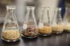 Photo for Agricultural Enzymes Market Report - Industry Size, Share, Trends, Growth And Forecast Till 2025